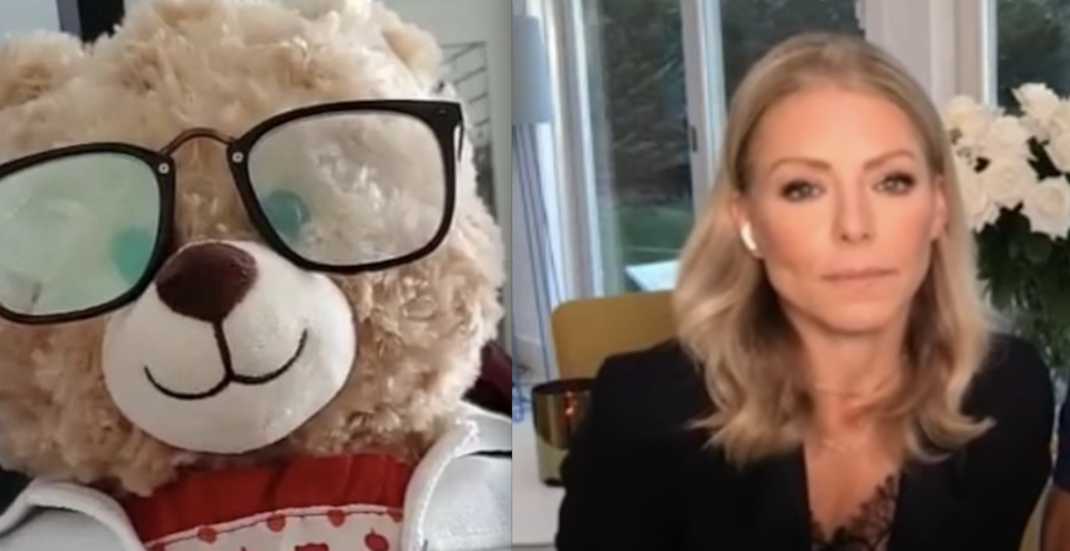 Kelly Ripa asks for safe return of Vancouver woman's missing teddy bear