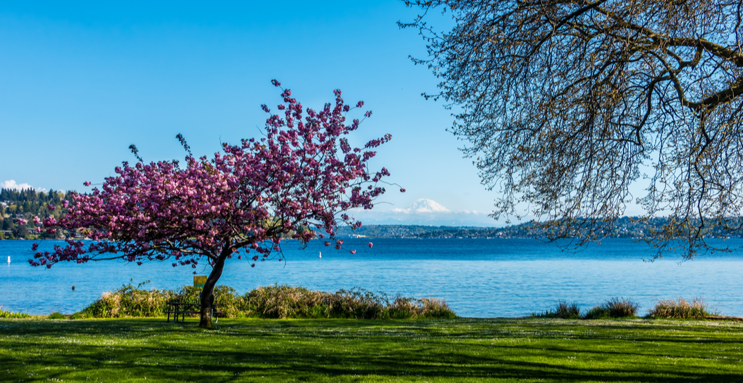 7 stunning spots for your next outdoor workout in Seattle