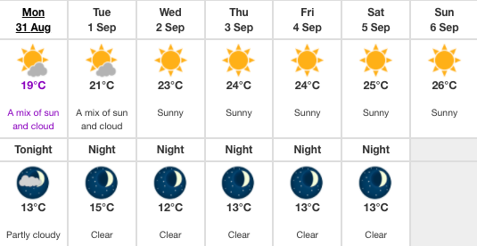 forecast