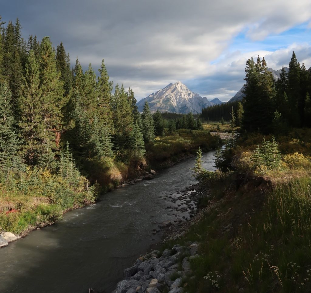 mount engadine