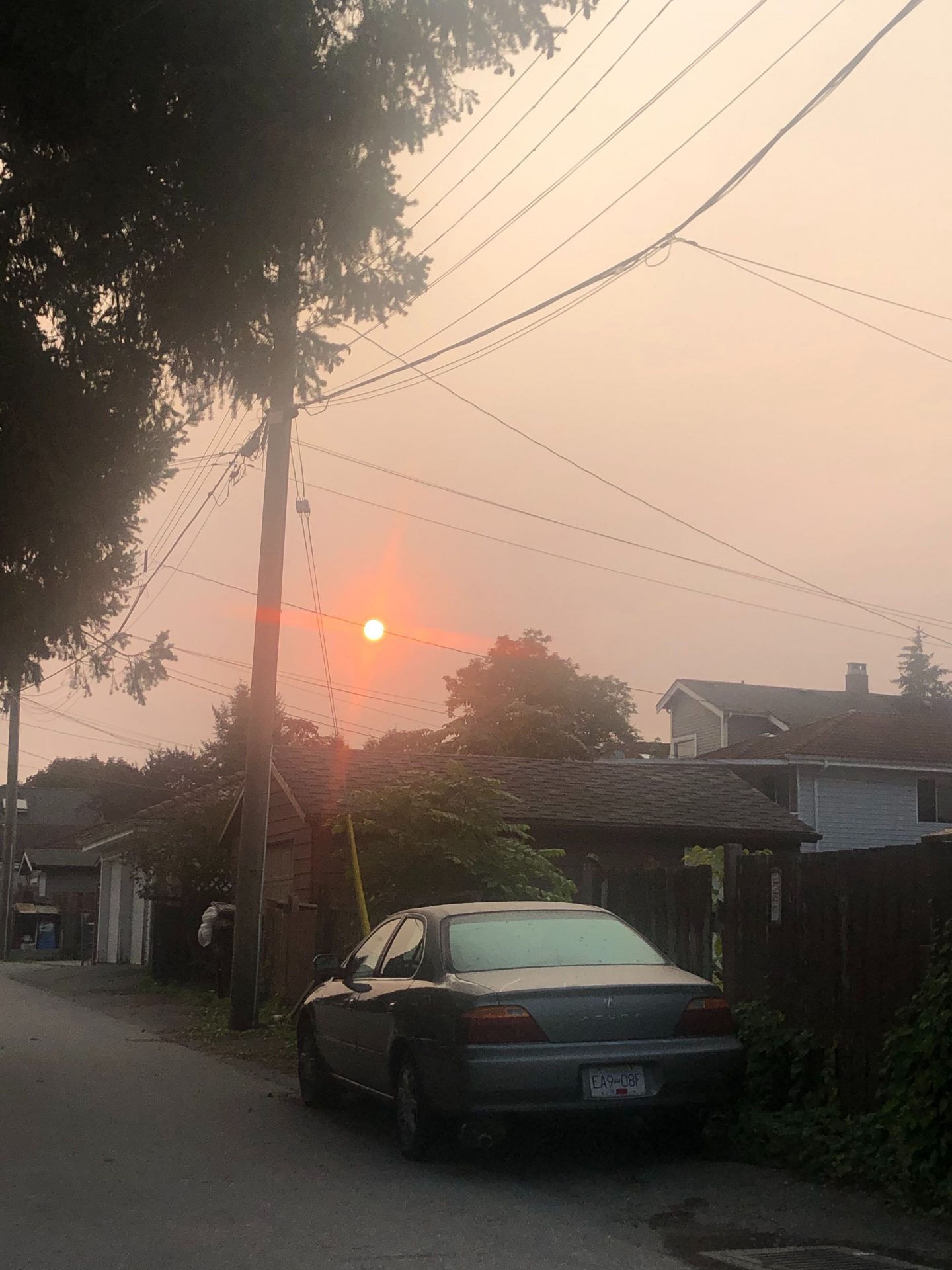 wildfire smoke