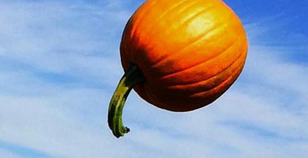 Telus Spark Pumpkin catapult