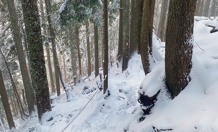 The Grouse Grind is closed as of this weekend due to snow