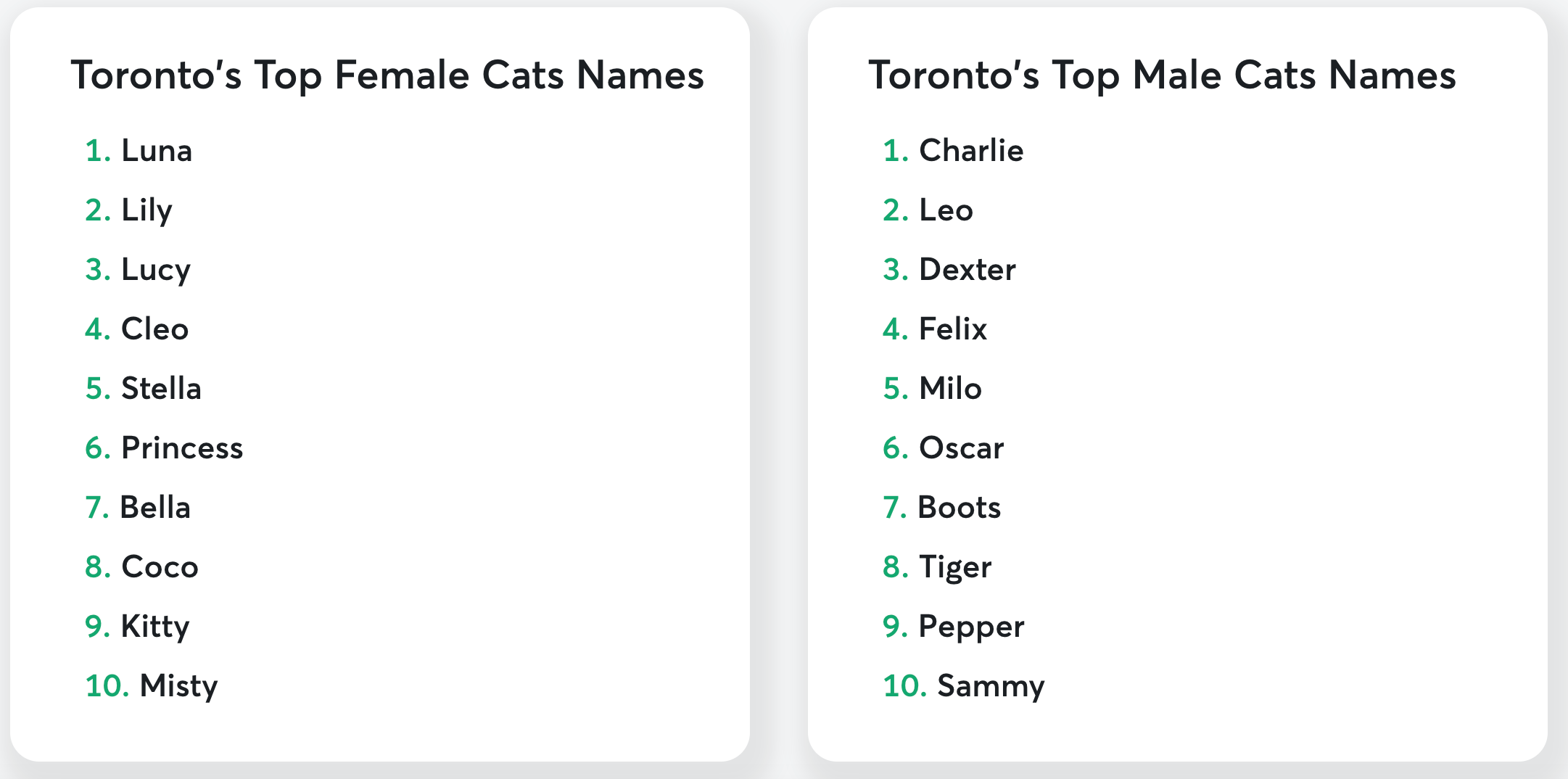 toronto cat names