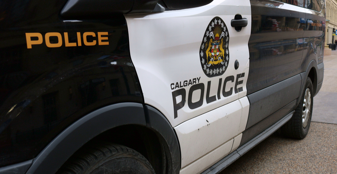 Calgary police warn public to be alert after 15 women assaulted while walking alone