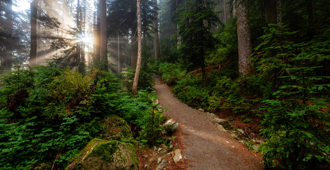 28 easy trails to explore in Metro Vancouver