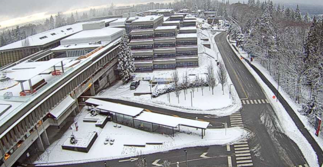 It's snow joke: Metro Vancouver woke up to snow this morning (PHOTOS)