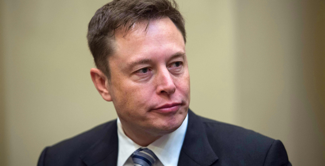 Elon Musk turns down $1 million offer on his NFT about NFTs