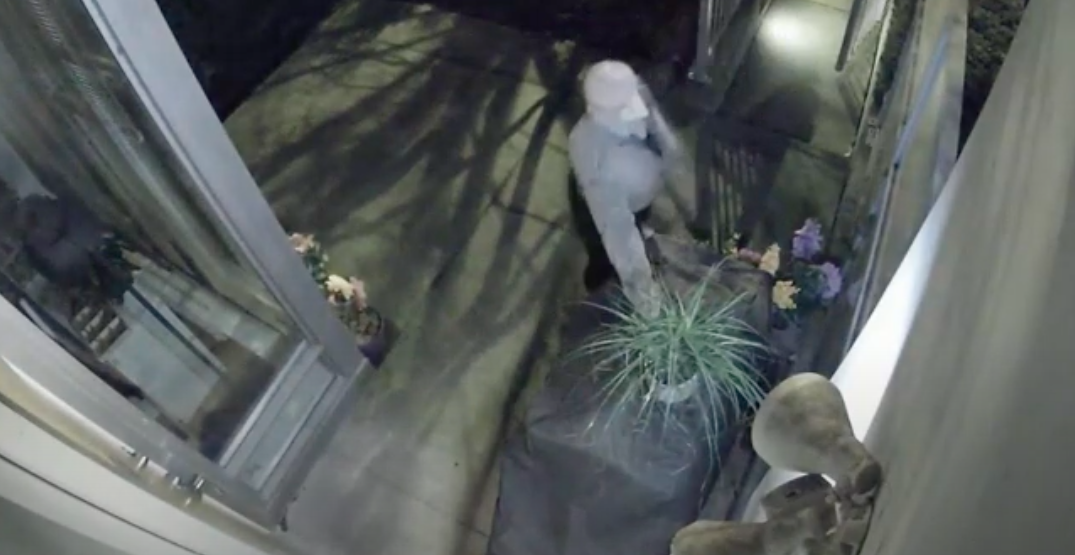 Person steals potted plant from front porch of Vancouver home (VIDEO)