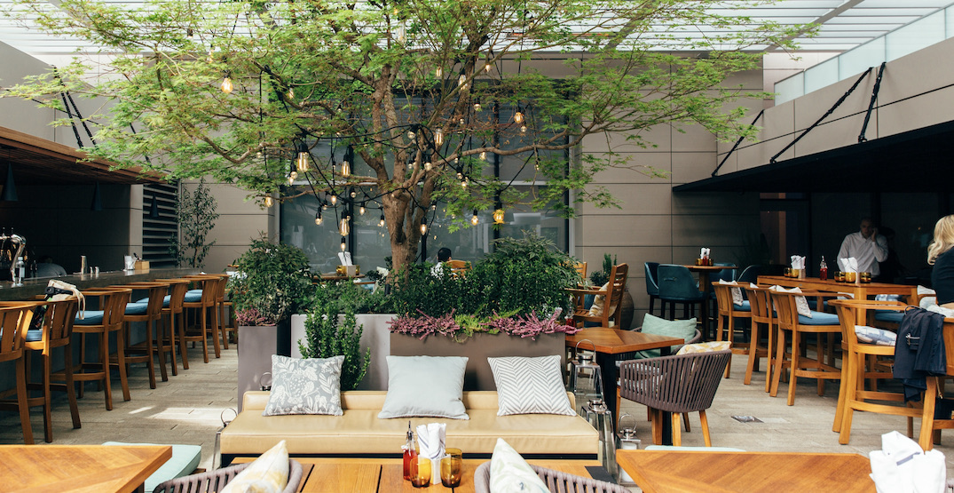Reflections: The Garden Terrace patio now open in Vancouver