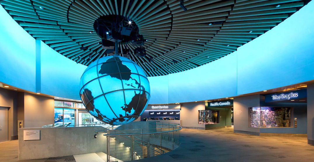 8 things to know about Vancouver Aquarium's sale to the owner of Dollywood