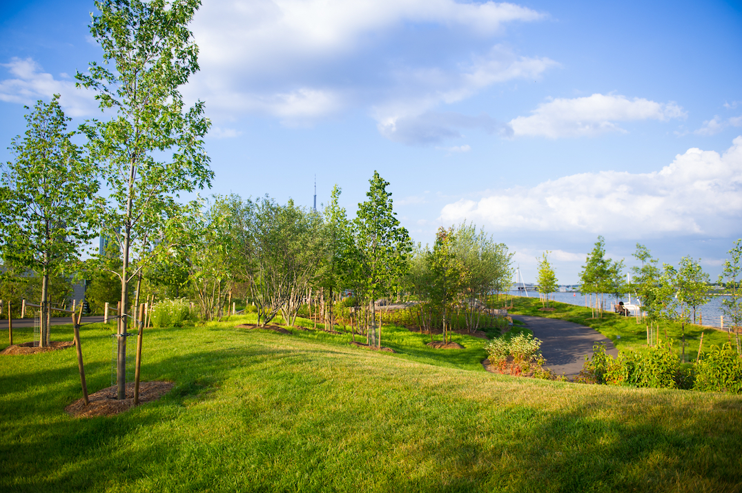 toronto parks