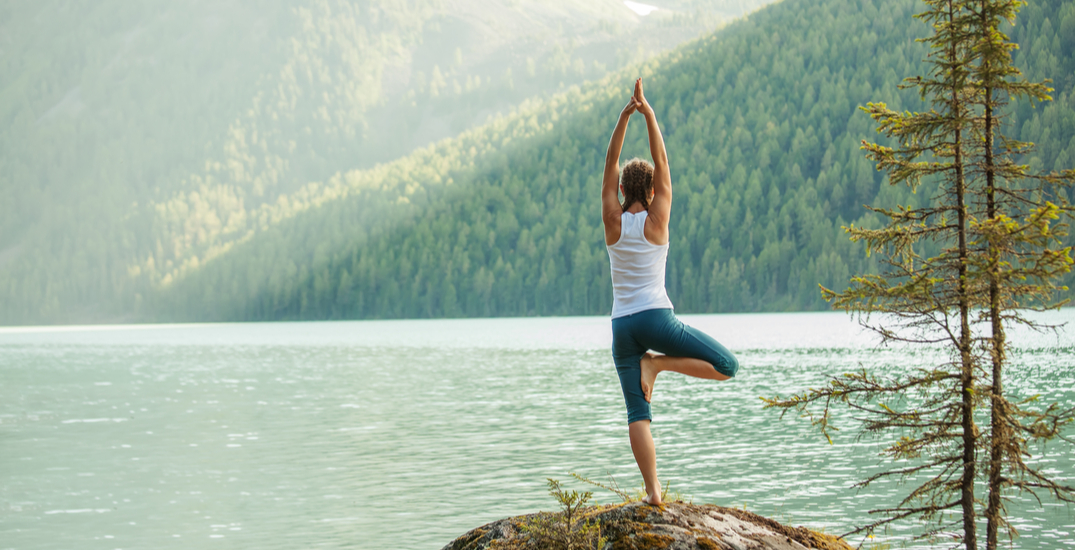 Lululemon reports 88% rise in earnings amid e-commerce boom