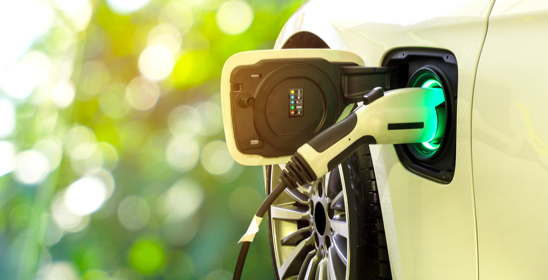Why green commodities are one of the best investments for 2021