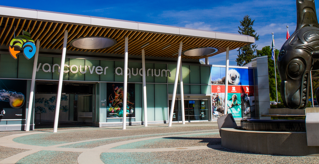 Vancouver Aquarium to reopen to public on Monday after a year of closure