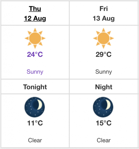 perseid shower Calgary