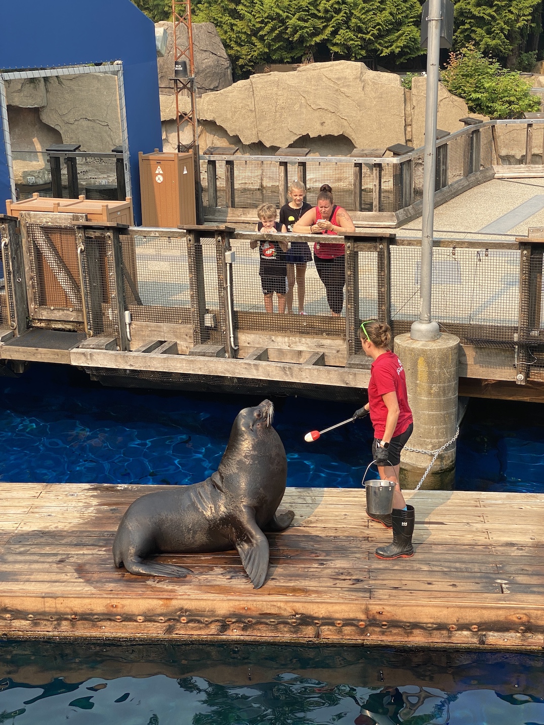 vancouver aquarium