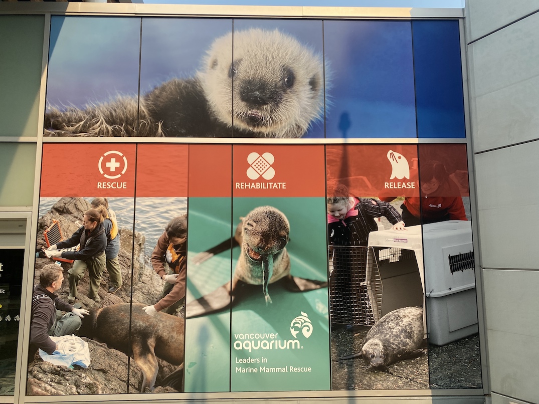 vancouver aquarium