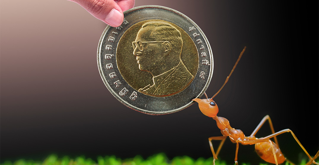 ant corruption