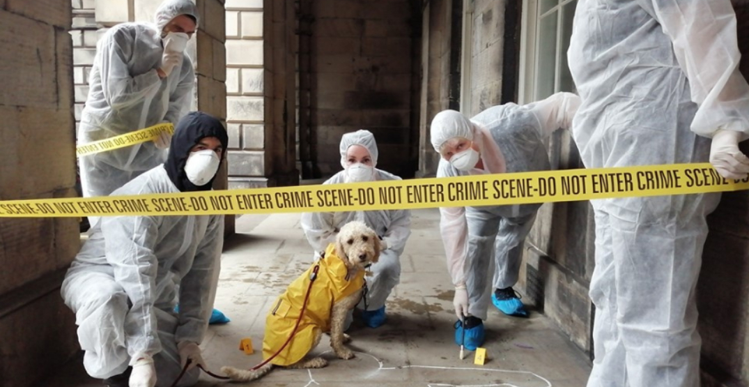 "CSI: Montreal" lets you live out your dream of being a forensic investigator