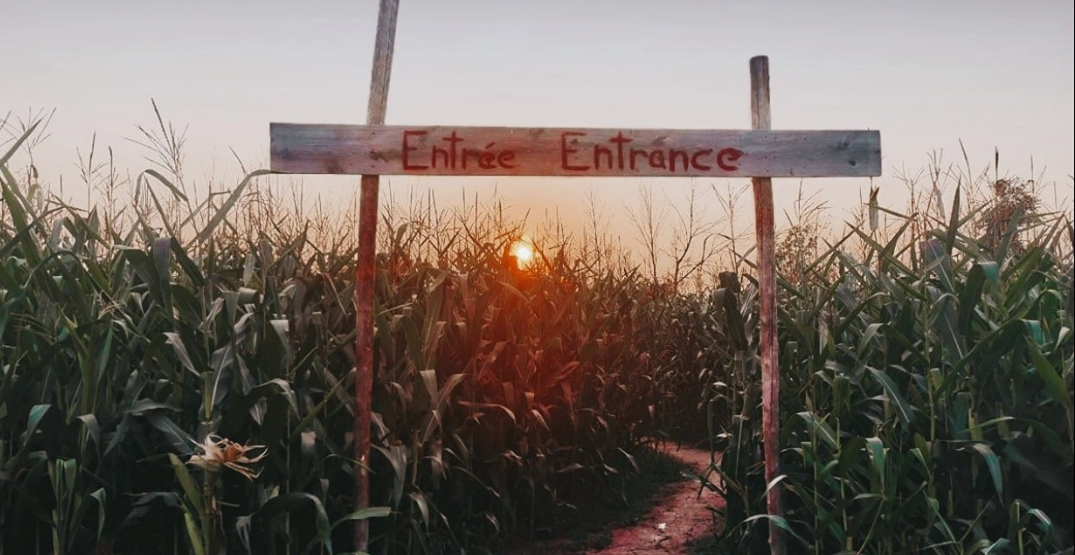 Run through this giant corn maze just outside Montreal (PHOTOS)