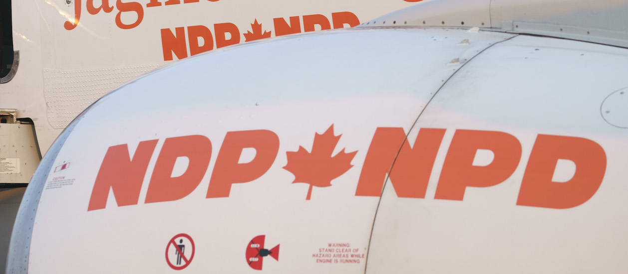 Two NDP candidates resign after social media posts cause backlash