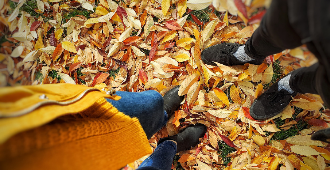 10 reasons why fall is the best season in BC