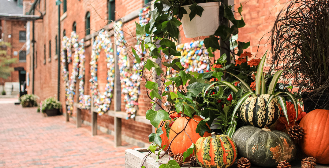 A new fall market is coming to the Distillery District this month