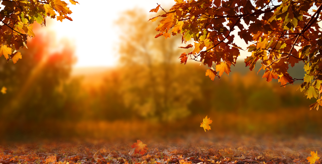 Here's what the weather will be like across Canada for Thanksgiving weekend