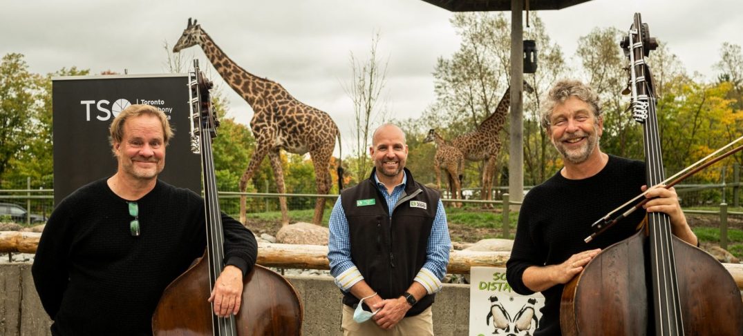 Toronto Zoo and TSO team up to bring young audiences Zoophony this fall
