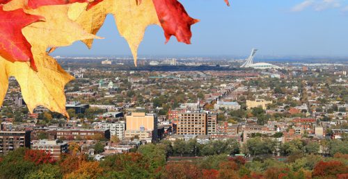 Here is what's open and closed in Montreal on Thanksgiving Monday | Curated