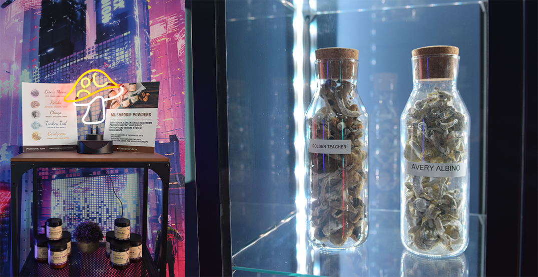 Why magic mushroom dispensaries are popping up around Vancouver