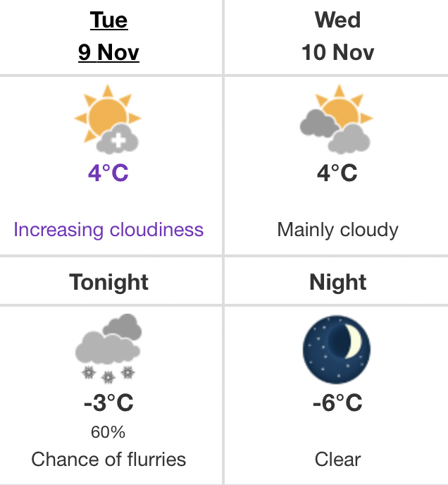 flurries Edmonton