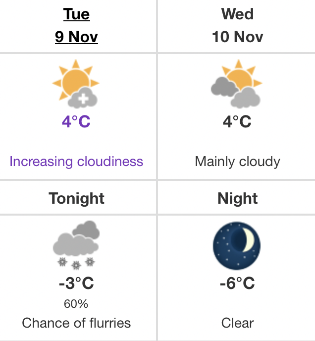 flurries Edmonton 