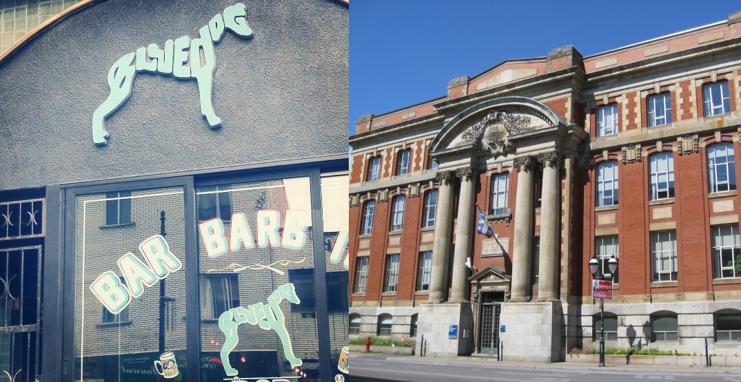 Montreal bar issued language law violation for English Facebook posts
