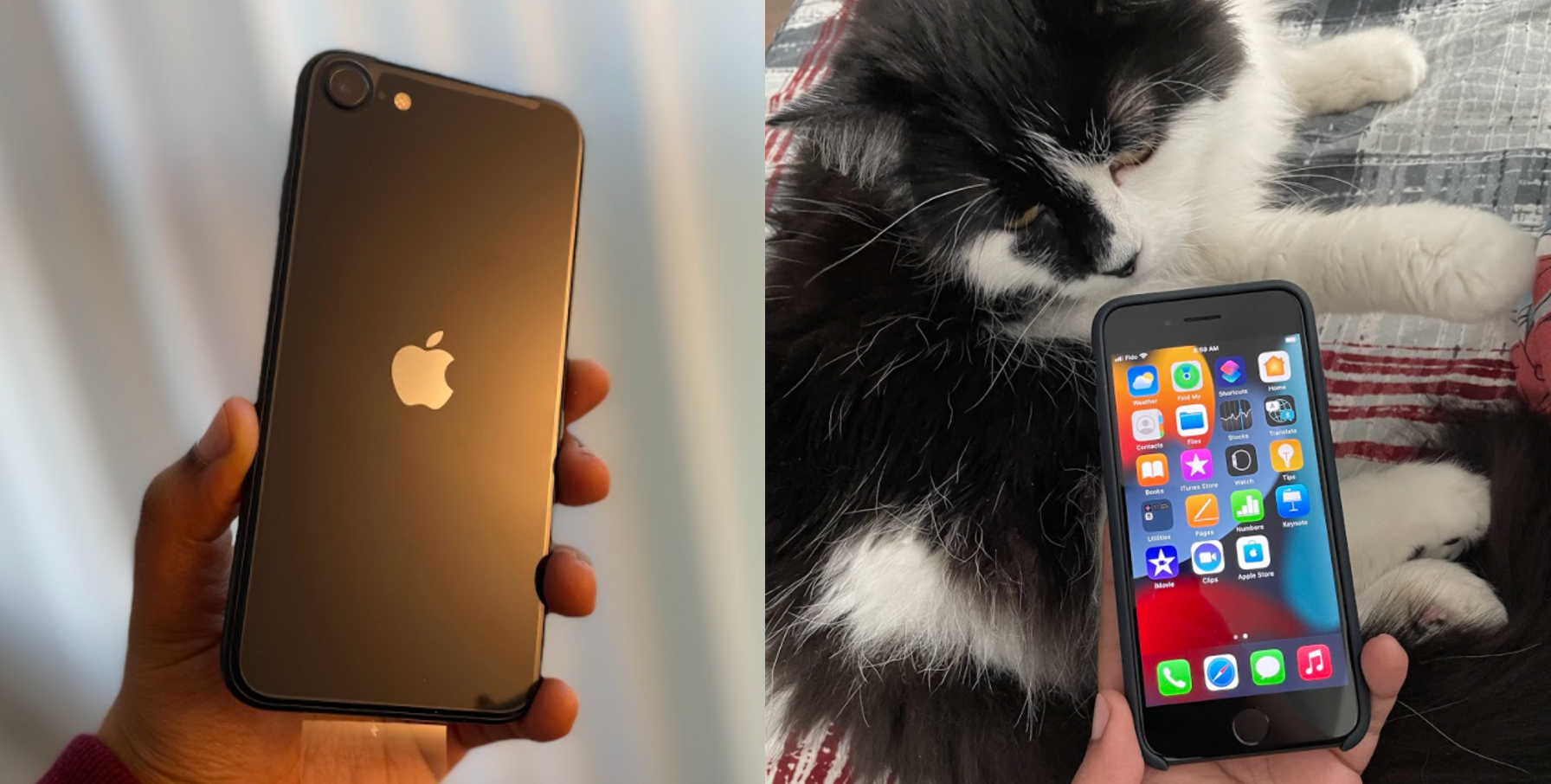 I used Apple's new iPhone SE for a week and here's how it went