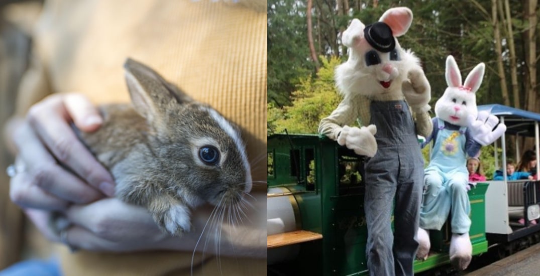 10 egg-citing Easter events and activities to enjoy in Vancouver