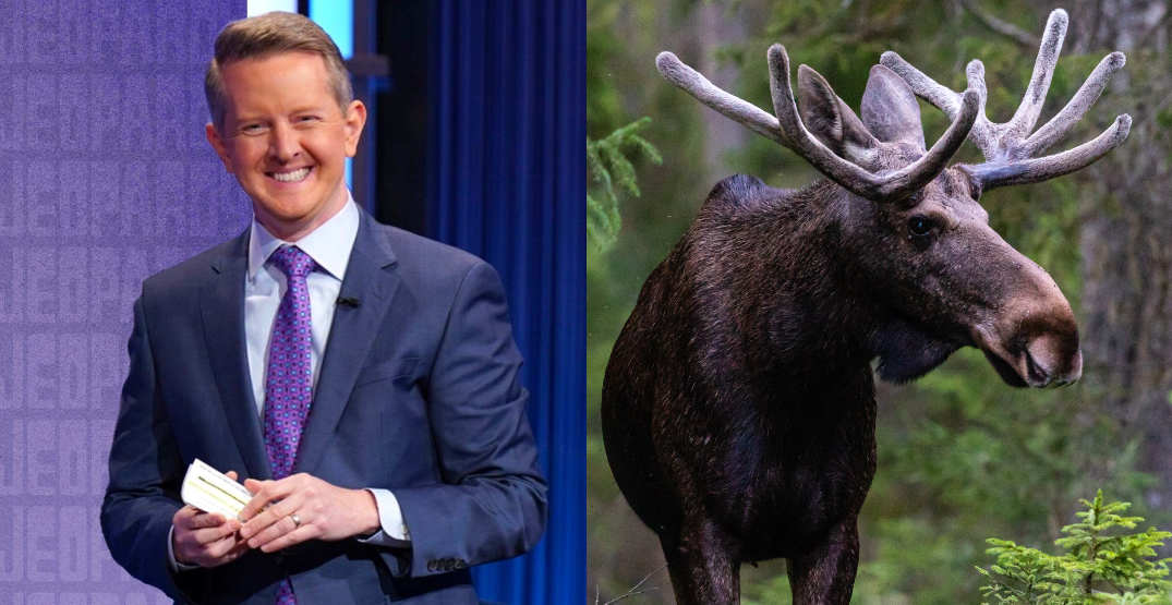 According to "Jeopardy!", Canada is known for these 15 things (VIDEO)