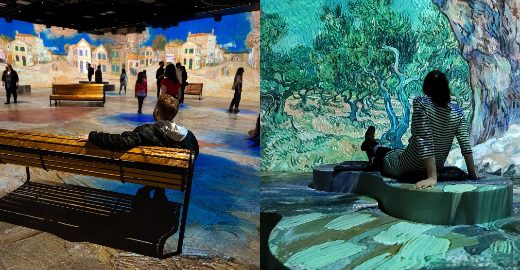 Beauty up close: Montreal's new immersive Van Gogh exhibit has opened