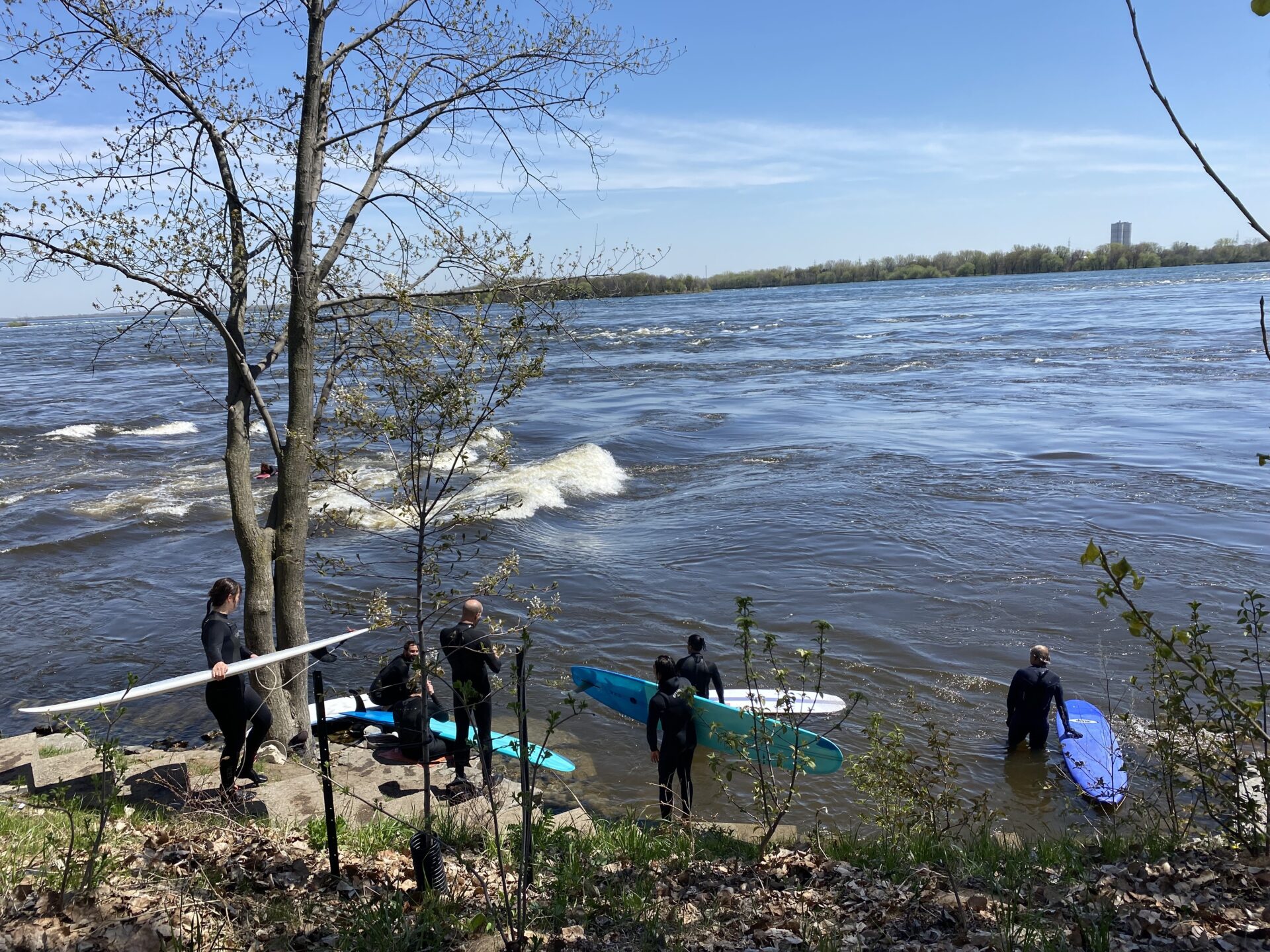 surf montreal