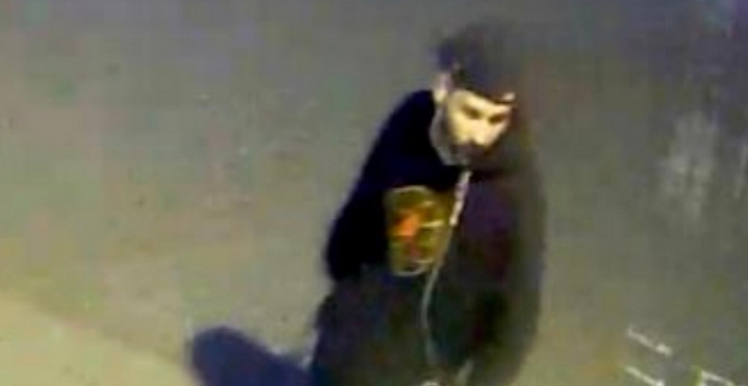 Large rocks used to assault homeless man near West Vancouver mall