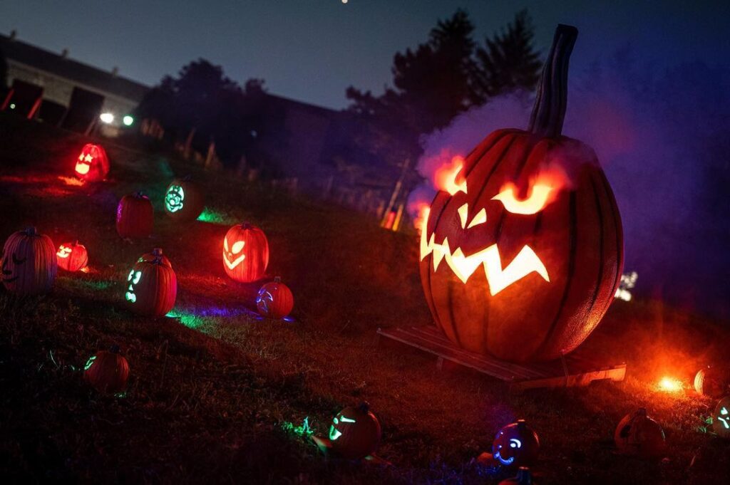 Pumpkins After Dark Burnaby