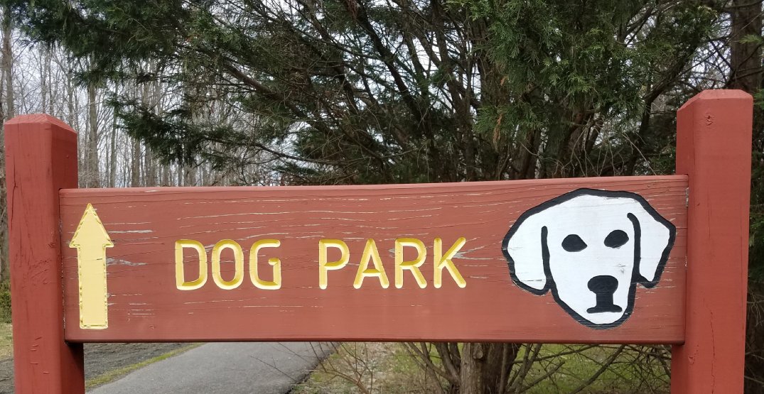 Owners react after multiple dogs sick from unknown substance in Toronto park