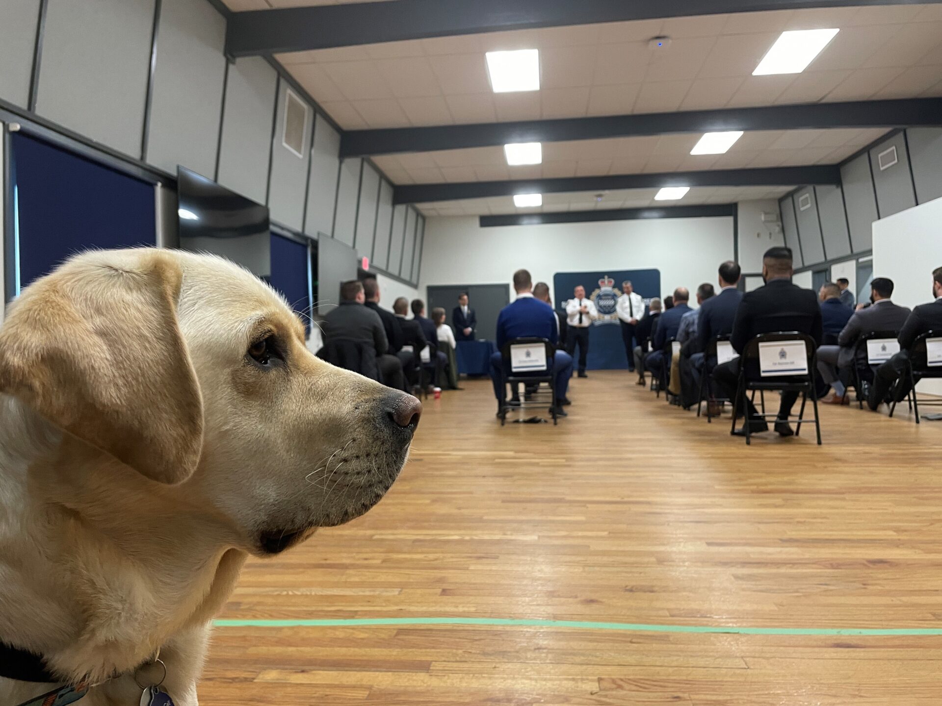 Surrey Police Service recruits a two-year-old pupper named Ragnar