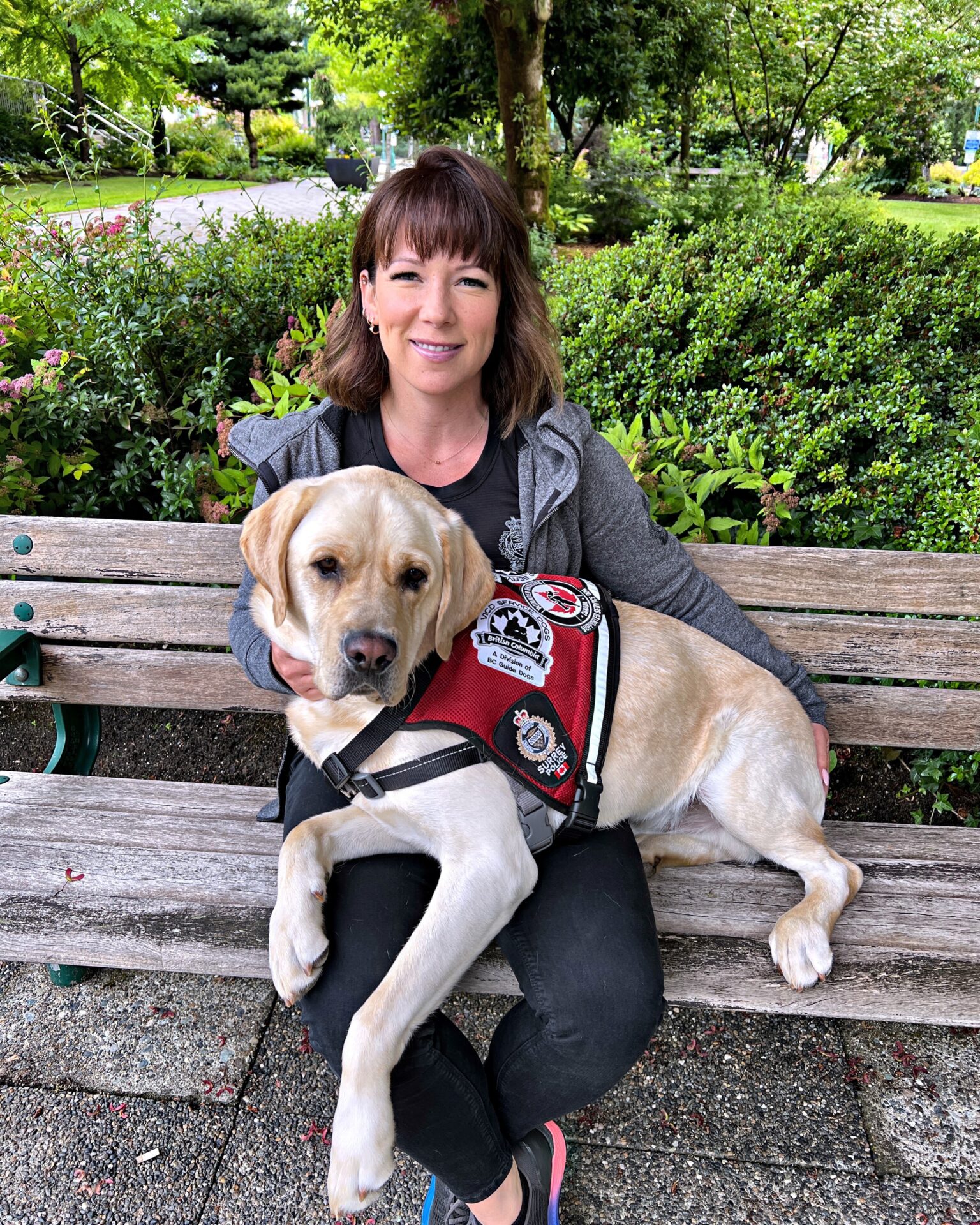 Ragnar took specialized training to become an Occupational Stress Intervention Dog