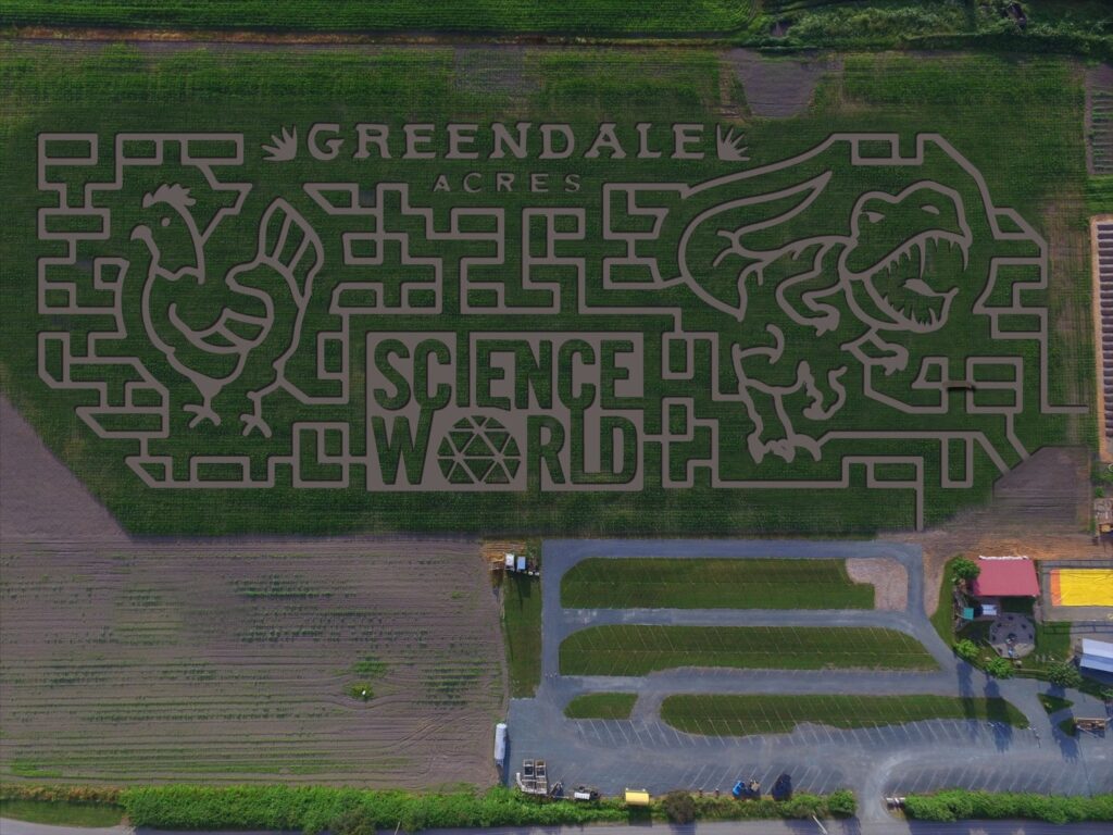 Chilliwack Corn Maze