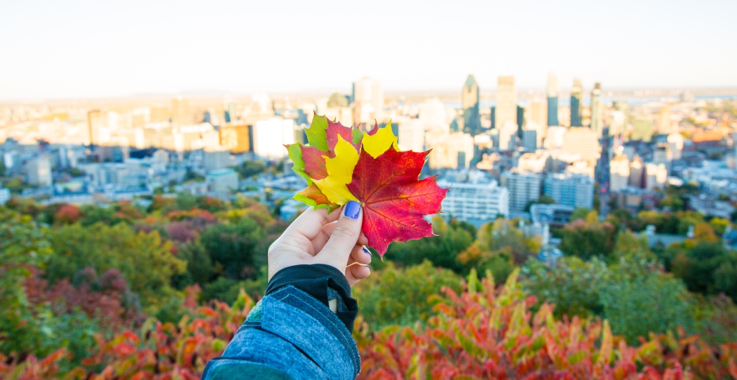 Cool Things You Can Do In New York