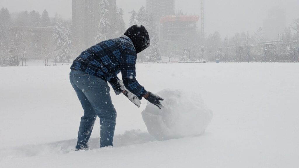 Vancouver Snow