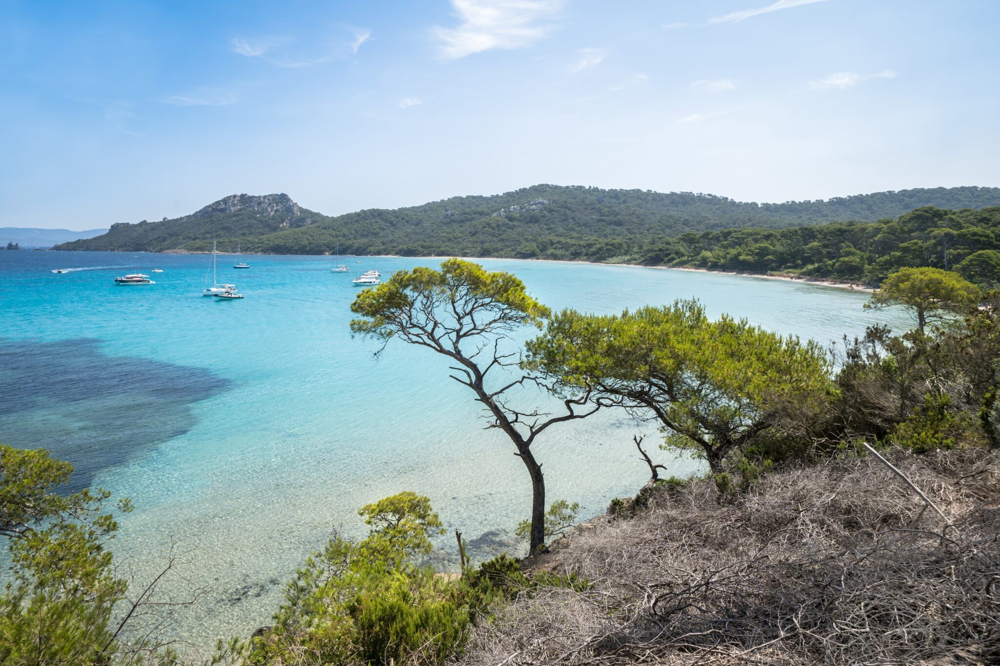 Chesterman Beach 