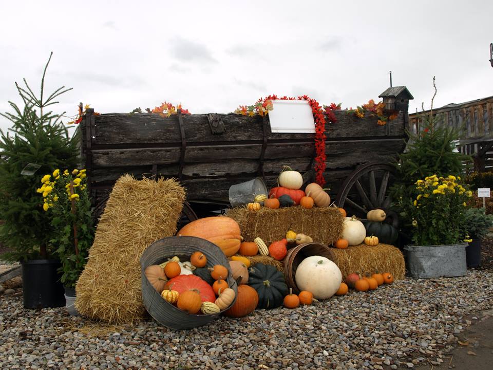 Image: Kayben Farms via Facebook